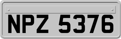 NPZ5376