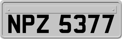 NPZ5377