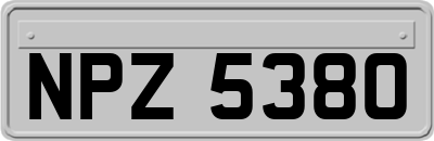 NPZ5380