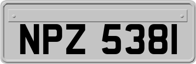 NPZ5381
