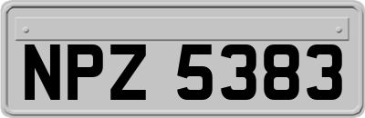 NPZ5383