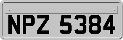 NPZ5384