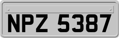 NPZ5387