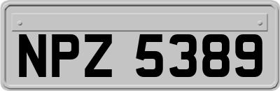 NPZ5389