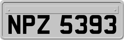 NPZ5393