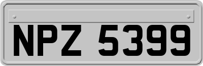 NPZ5399