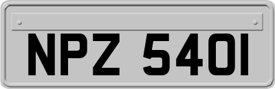 NPZ5401