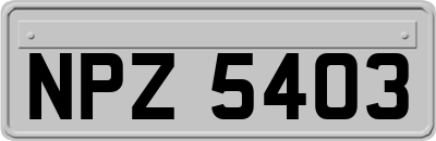 NPZ5403