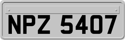 NPZ5407