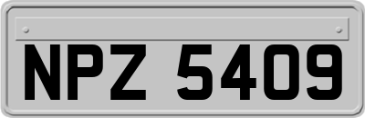 NPZ5409