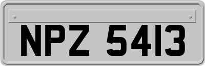 NPZ5413
