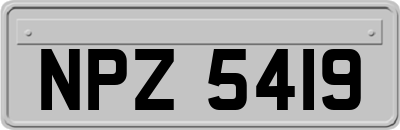 NPZ5419