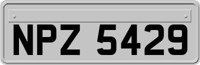 NPZ5429