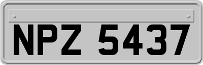NPZ5437