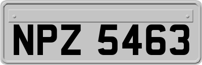 NPZ5463