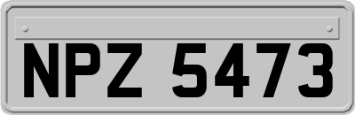 NPZ5473