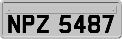 NPZ5487