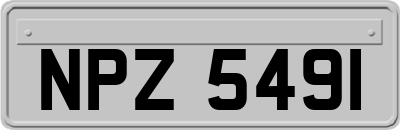 NPZ5491