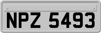 NPZ5493