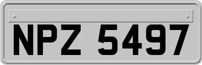NPZ5497