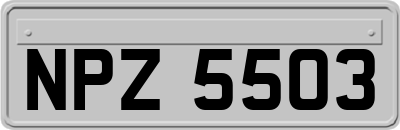 NPZ5503
