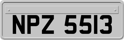 NPZ5513