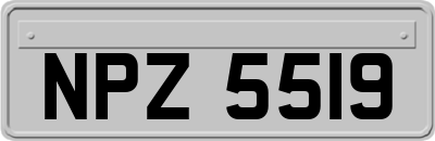 NPZ5519