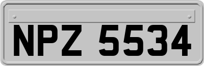 NPZ5534
