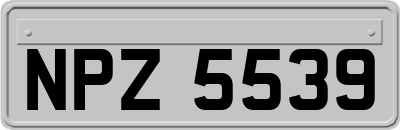 NPZ5539