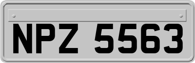NPZ5563