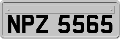 NPZ5565