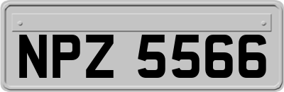 NPZ5566
