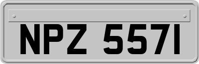NPZ5571