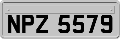 NPZ5579