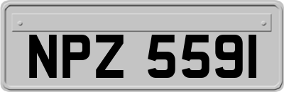 NPZ5591