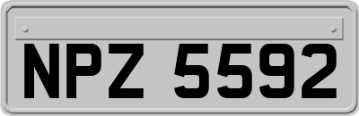 NPZ5592