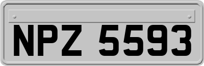 NPZ5593