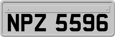 NPZ5596