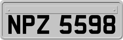NPZ5598