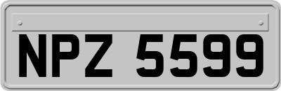 NPZ5599