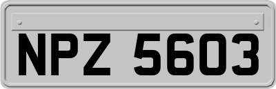 NPZ5603