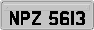NPZ5613