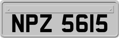 NPZ5615
