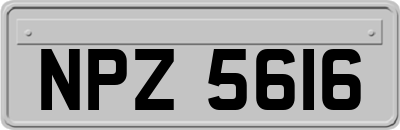 NPZ5616