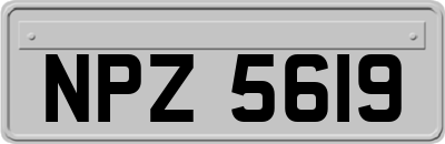 NPZ5619