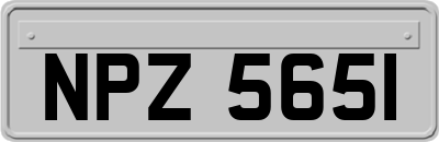 NPZ5651