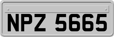 NPZ5665