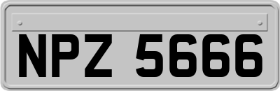 NPZ5666