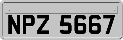 NPZ5667