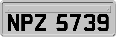 NPZ5739